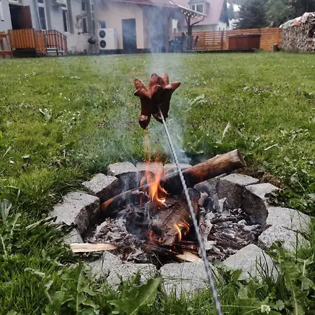 Brloh V Orlických Horách Alojamento de Turismo Selvagem *